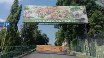 Gembira Loka Zoo Optimis Bisa Bertahan hingga 9 Bulan ke Depan