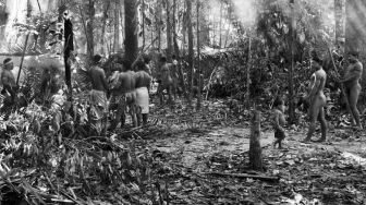 Sebuah petisi mengingatkan covid-19 dapat memusnahkan suku Amazon