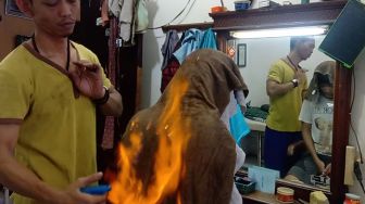 Kisah Kenyo, Sang Juru Cukur Rambut dan Pijat Refleksi Api di Tengah Corona