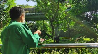 Tetap Kerja, Perawat Satwa di Ragunan Akui Takut Tertular Corona