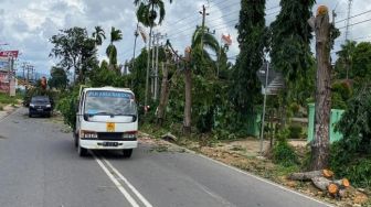 Tebang Pohon Hingga Walikota Marah, PLN Akui Kesalahan