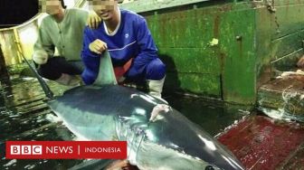 ABK Indonesia di Kapal Asing: Kami Ditendang, Dimaki Ketika Kelelahan