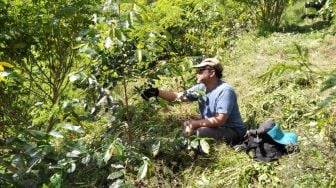 Saatnya Petani Kelola Hutan Jawa