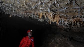 Pegiat susur goa yang tergabung Caves Society Tasikmalaya menulusuri Goa Sarongge Jompong di Kampung Jompong, Desa Mertajaya, Kecamatan Bojongasih, Kabupaten Tasikmalaya, Jawa Barat, Rabu (13/5).  [ANTARA FOTO/Adeng Bustomi]