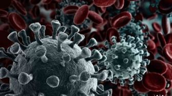 Kasus Perdana, Warga Meranti Positif Covid-19, Pemkab Bentuk Tim Khusus