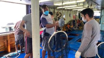  RI Kembali Ekspor Kerapu ke Hongkong