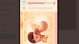 Kocak, Aplikasi Kehamilan Ini Disangka Game