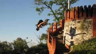 Ciuman di Rooftop, Atlet Parkour Asal Iran Ditangkap