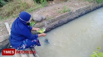 Tak Bisa Ziarah di Makam Leluhur, Warga di Ponorogo Nyekar di Sungai