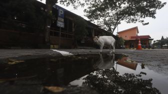 Sepinya Sejumlah Rest Area Pada H+4 Lebaran