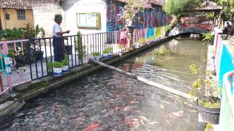 Pemerintah Kota Ambon Dorong Warga Budidaya Ikan Air Tawar Untuk Ketersediaan Pangan