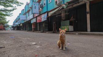 Pedagang sembako bersantai didepan kiosnya  yang tutup di Pasar Cileungsi, Bogor, Jawa Barat, Senin (1/6). [Suara.com/Alfian Winanto]