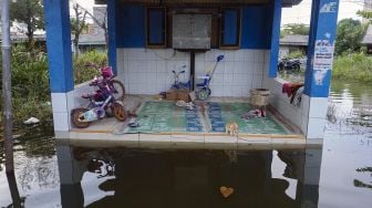 Seekor kucing terjebak di pos kamling saat banjir rob di Slamaran, Pekalongan, Jawa Tengah, Senin (1/6/2020).  [ANTARA FOTO]
