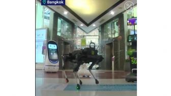 Di Thailand, Robot Anjing Berkeliaran Bagikan Hand Sanitizer