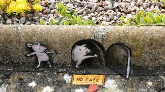 Keren, Tikus dan Kerikil Warna-Warni Ramaikan Inggris Saat Lockdown