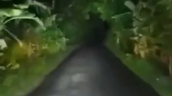 Ngempos Mendadak saat Lewat Hutan, Video Pemotor Ini Bikin Merinding