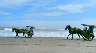 Waspada, Sengatan Ubur-Ubur di Pantai Jogja Masih Mengancam Sampai Agustus