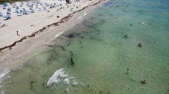 Foto udara suasana pantai di Miami Beach, Florida, Amerika Serikat pada 10 Juni 2020. [Foto/Anadolu Agency]