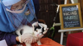 Cat Lover Peduli Covid-19 Gelar Kenduri Satwa di Solo