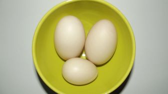 Hati-hati, Konsumsi Telur Mentah Bisa Sebabkan Masalah Kesehatan
