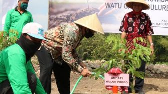 Kelompok Tani Kulon Progo Sulap Lahan Berbatu Jadi Produktif Kelengkeng