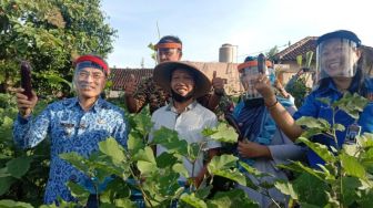 Inspiratif, Warga Neco Bantul Panen Raya Mandiri hingga Diapresiasi Wabup