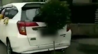 Toyota Calya Ini Dipersekusi Warga, Sebabnya Bikin Jengkel