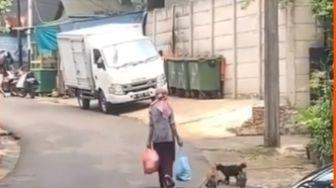 Cerita Ibu Dikerumuni Kucing Hampir Tiap Hari, Netizen Dibuat Nangis
