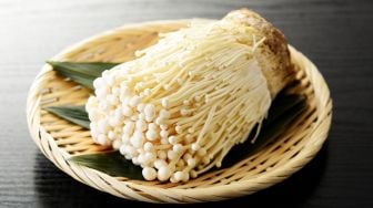 Terungkap, Asal Usul Jamur Enoki Mengandung Listeria Masuk ke Indonesia