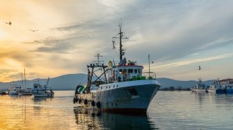 35 Hari di Laut, Pelayar Argentina Terinfeksi Corona Secara Misterius