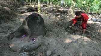 Seorang anak bermain di dekat dugaan batu arca nandi atau lembu tanpa kepala di sebuah ladang pepaya, Mranggen, Jatinom, Klaten, Jawa Tengah, Jumat (26/6/2020).   [ANTARA FOTO/Aloysius Jarot Nugroho]