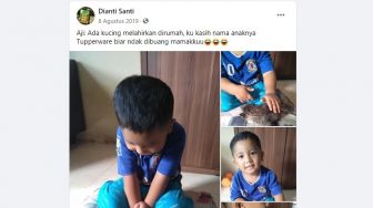 Takut Dibuang Emak, Bocah Ini Beri Nama Anak Kucingnya Tupperware