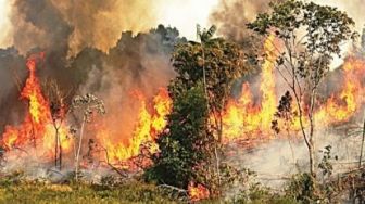 Rekor Baru, Hari Ini Ada 41 Titik Panas di Riau