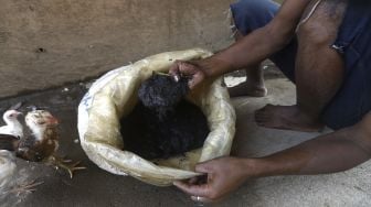 Jabar (40) menunjukkan endapan lumpur yang mengandung cacing sutra (Tubifex sp) di Banjir Kanal Timur (BKT) di kawasan pintu air WEIR-1 Malaka Sari, Jakarta, Selasa (30/6). [Suara.com/Angga Budhiyanto]