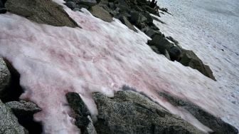 Ada Es Pink Misterius Muncul di Pegunungan Alpen