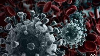 Kantor Disdukcapil MPP Pekanbaru Diminta Tutup Sementara karena Hal Ini