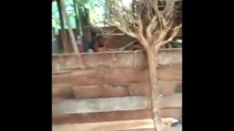 Viral Pria Ngawi Berhasil Angkat Rumah Seorang Diri, Bikin Warga Geger