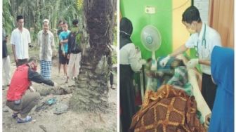 Sering Termenung, RN Ditemukan Tewas Terbakar di Bawah Pohon Sawit