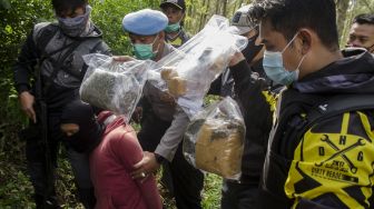 Satuan Narkoba Polres Cimahi menginterogasi tersangka atas barang bukti ganja kering saat penggerebekan ladang ganja di kawasan hutan Kabupaten Bandung, Jawa Barat, Minggu (12/7/2020).  [ANTARA FOTO/Novrian Arbi]
