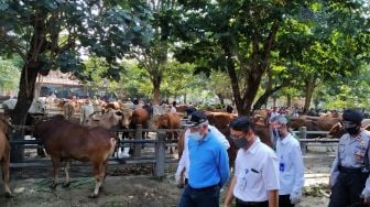 Sri Purnomo Bagi-bagi Masker Saat Pantau Hewan Kurban di Ambarketawang