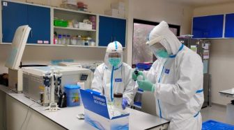 Sebaran corona 17 Juli: Bali 86 kasus baru, Papua 18, Kalteng 58