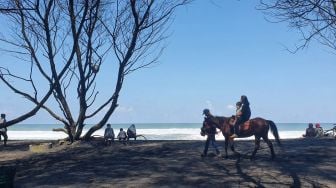 Pantai Goa Cemara Masih Sepi, Kuda yang Disewakan Zainul Kerap Nganggur