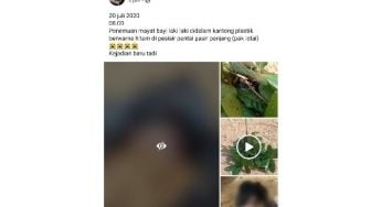 Gempar! Warga Singkawang Temukan Mayat Bayi Dalam Kantong Plastik