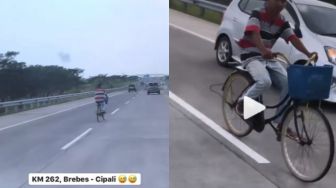 Santuy! Pria Naik Sepeda di Tengah Jalan Tol Cipali, Videonya Viral