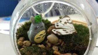 Mirip Karakter Totoro, Penampakan Pohon di Jepang Ini Mendadak Viral