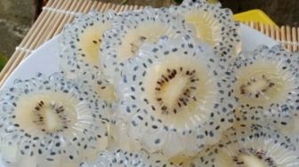 Cuaca Panas, Yuk Bikin Puding Kiwi Selasih yang Segarnya Menggigit