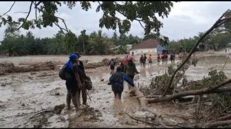 Polisi Sebut Banjir Luwu Utara karena Alam, Walhi: Tak Sesuai dengan Sains