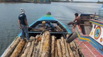 Kepergok Angkut Kayu Ilegal di Sumsel, Tiga Orang Ini Ditangkap Polisi