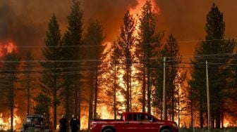 Sejumlah kendaraan menjauh saat api mulai menyambar dan membakar hutan di seberang jalan sekitar 5 mil dari Susanville, California, Amerika Serikat, Senin (20/7/2020).    [AFP/JOSH EDELSON]