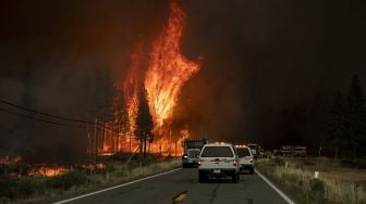 Sejumlah kendaraan menjauh saat api mulai menyambar dan membakar hutan di seberang jalan sekitar 5 mil dari Susanville, California, Amerika Serikat, Senin (20/7/2020).    [AFP/JOSH EDELSON]